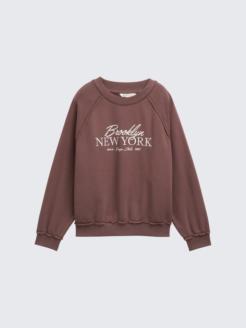 Pulover s potiskom - Rjava_4794405